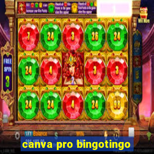 canva pro bingotingo